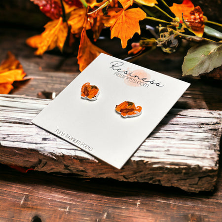 thanksgiving cornucopia graphic stud earrings